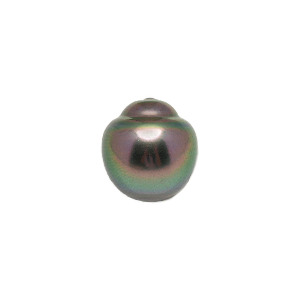 1pcs Peacock 11.6mm - SB AAA Quality Tahitian Pearl Single LP2612 LP5