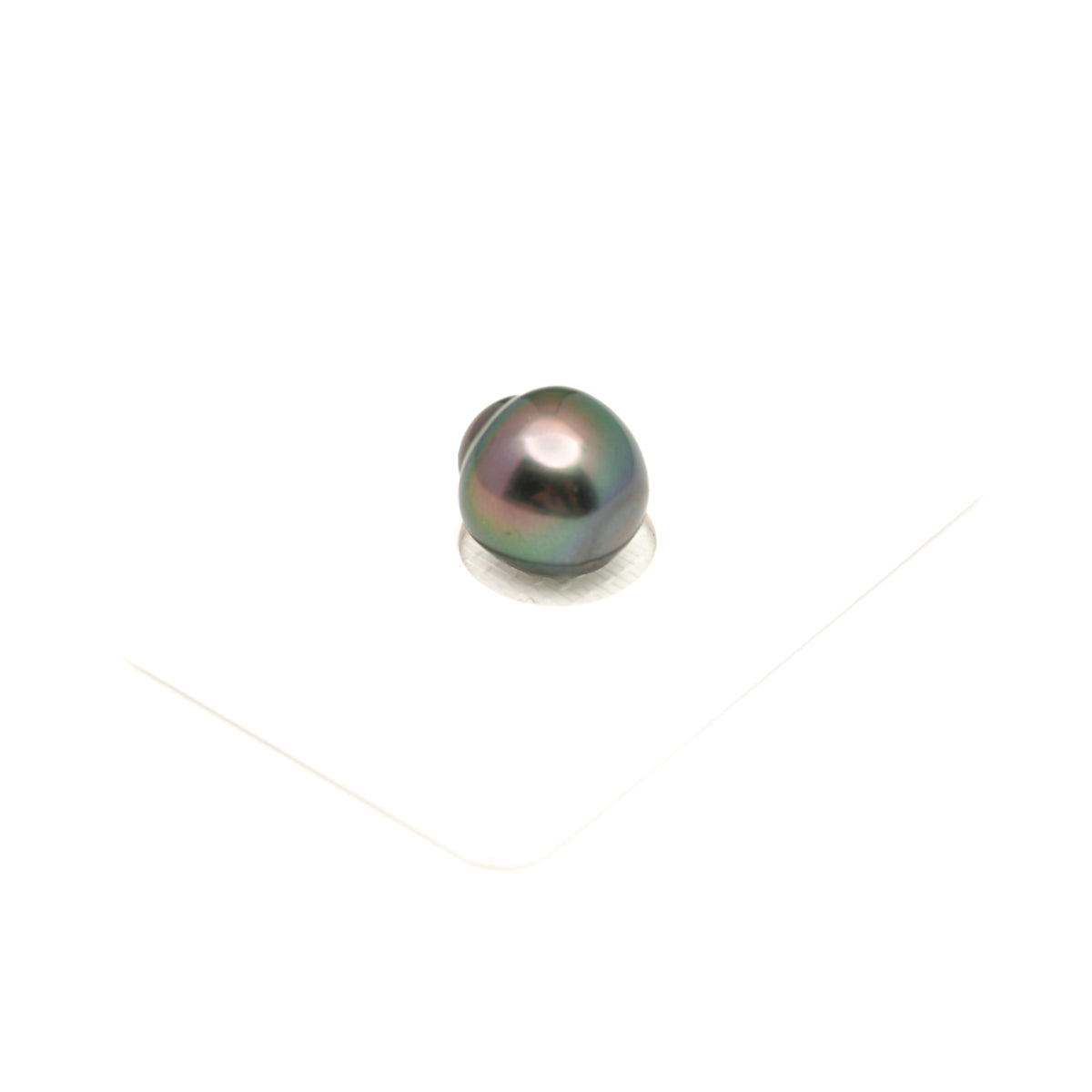 1pcs Peacock 11.6mm - SB AAA Quality Tahitian Pearl Single LP2612 LP5