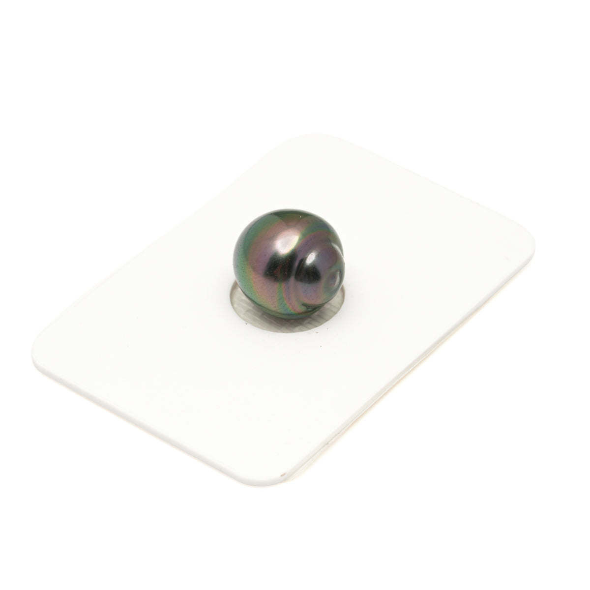 1pcs Peacock 11.6mm - SB AAA Quality Tahitian Pearl Single LP2612 LP5