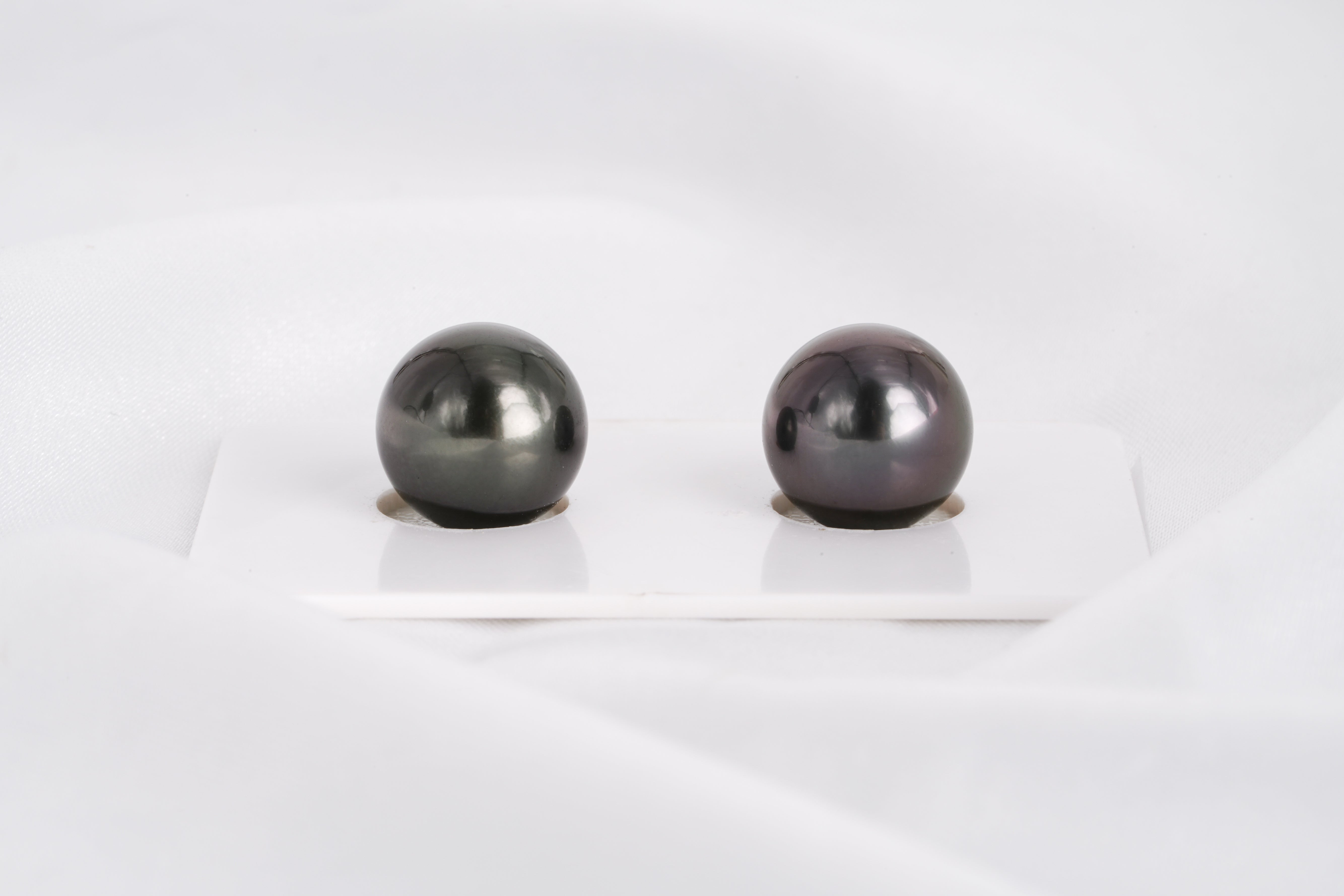Dark Matched Pair - Round 11mm AAA quality Tahitian Pearl - Loose Pearl jewelry wholesale