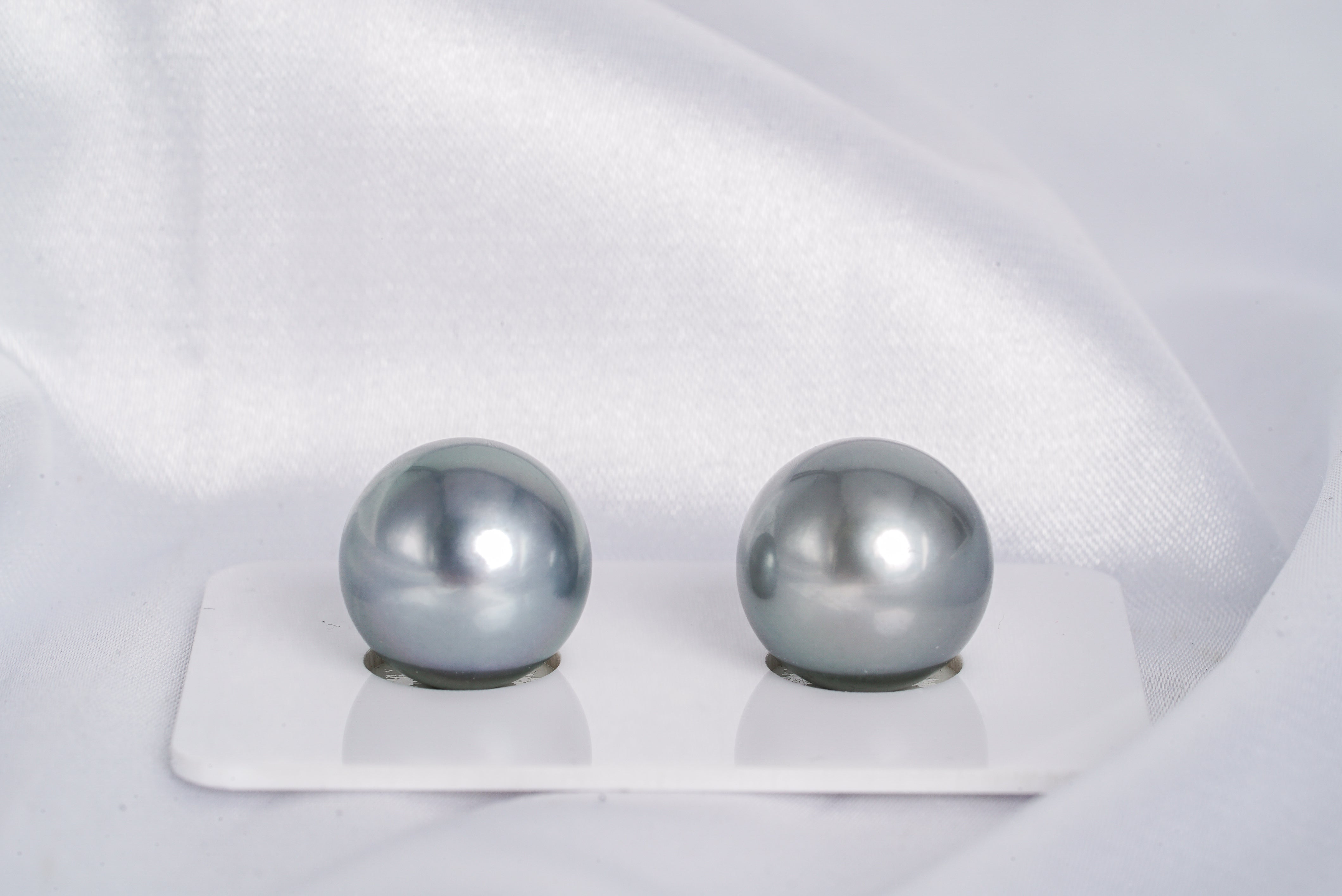 Gray Color Matched Pair - Semi-Round 13mm AAA quality Tahitian Pearl Earrings - Loose Pearl jewelry wholesale