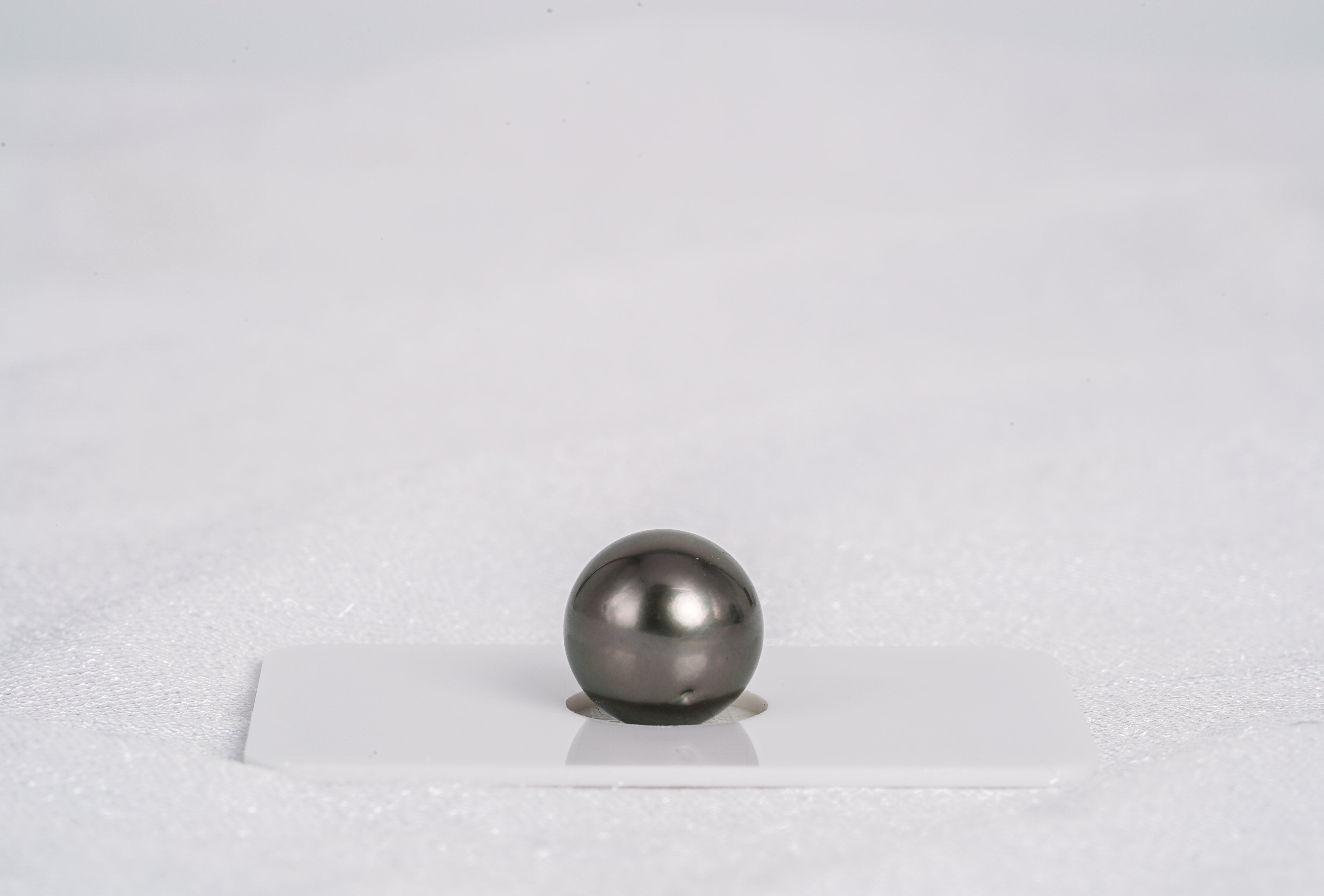 Brown Single Pearl - Round 12.1mm AAA quality Tahitian Pearl - Loose Pearl jewelry wholesale