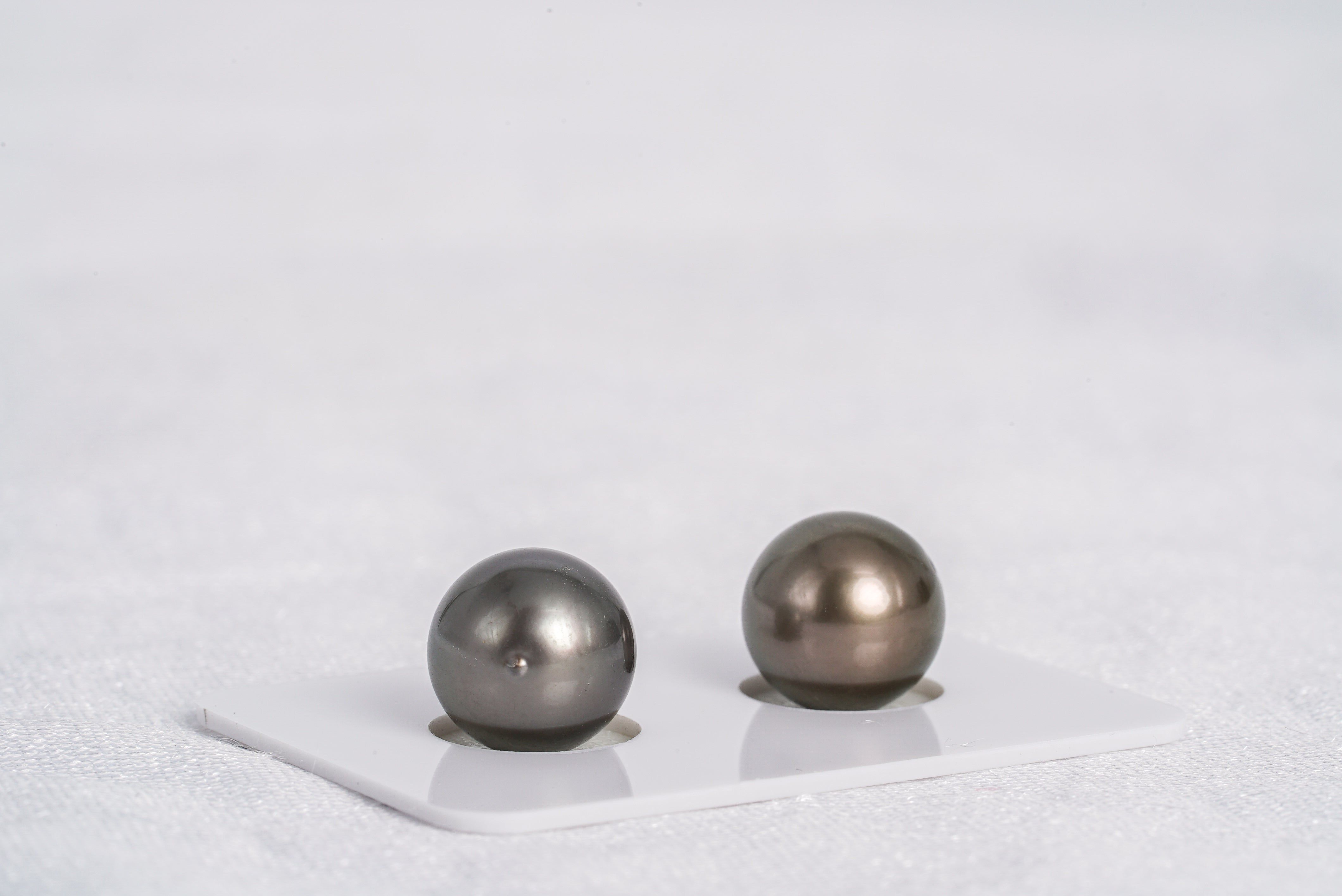 Cherry Brownish Matched Pair - Round 11mm AAA quality Tahitian Pearl - Loose Pearl jewelry wholesale