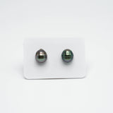 2pcs Peacock Mix 9.8-9.9mm - CL AAA/AA Quality Tahitian Pearl Pair ER1140