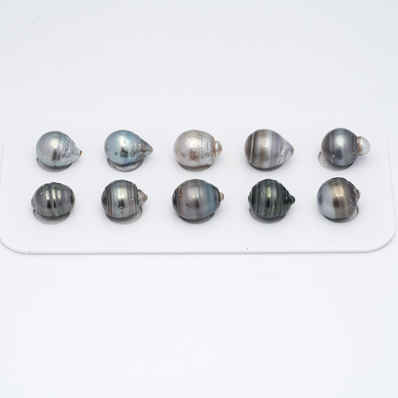 10pcs Mix 10-11.5mm - CL/SB A Quality Tahitian Pearl Pack LP1548