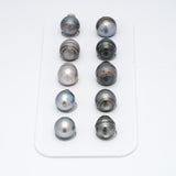 10pcs Mix 10-11.5mm - CL/SB A Quality Tahitian Pearl Pack LP1548