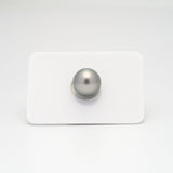 1pcs Light Grey 11.9mm - RSR AAA Quality Tahitian Pearl Single LP1571 A101