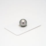 1pcs Light Grey 11.9mm - RSR AAA Quality Tahitian Pearl Single LP1571 A101