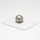 1pcs Light Grey 11.9mm - RSR AAA Quality Tahitian Pearl Single LP1571 A101