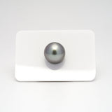 1pcs "High Luster" Gray 13mm - RSR AAA Quality Tahitian Pearl Single LP1570 A101