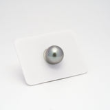 1pcs "High Luster" Gray 13mm - RSR AAA Quality Tahitian Pearl Single LP1570 A101