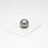 1pcs "High Luster" Gray 13mm - RSR AAA Quality Tahitian Pearl Single LP1570 A101