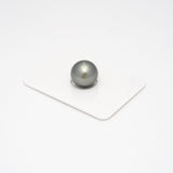 1pcs Gray 12.7mm - RSR AAA/AA Quality Tahitian Pearl Single LP1568