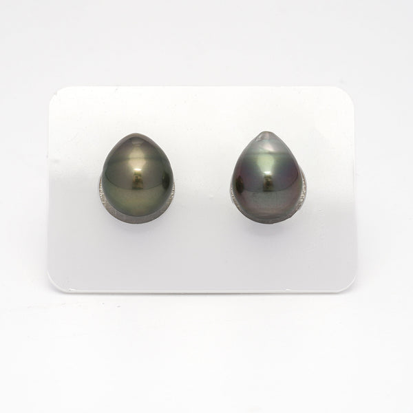 2pcs Light Green 11.4-11.6mm - SB AAA Quality Tahitian Pearl Pair ER1280