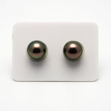 2pcs Peacock 11mm - RSR AAA/AA Quality Tahitian Pearl Pair ER1187