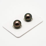 2pcs Peacock 11mm - RSR AAA/AA Quality Tahitian Pearl Pair ER1187