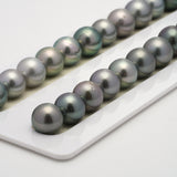 37pcs Light 10-13mm - RSR AA/AAA Quality Tahitian Pearl Necklace NL661