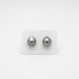 2pcs Gray 11.6mm - SB AAA Quality Tahitian Pearl Pair ER1329 A89