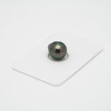 1pcs "High Luster" Peacock 10.2mm - CL AAA Quality Tahitian Pearl Single LP1640 CMP1