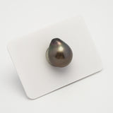 1pcs Brown 13.3mm - SB AAA/AA Quality Tahitian Pearl Single LP1902 HL1