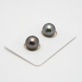 2pcs Purple 10.6-10.7mm - R AAA Quality Tahitian Pearl Pair ER1451 TH1