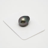 1pcs Green 12.6mm - SB AAA Quality Tahitian Pearl Single LP1823 TH1