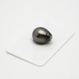 1pcs Green 12.6mm - SB AAA Quality Tahitian Pearl Single LP1823 TH1