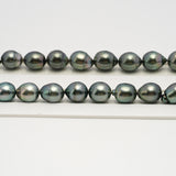 38pcs Green Mix 8-11mm - CL/SB AAA/AA Quality Tahitian Pearl Necklace NL1636 HL3