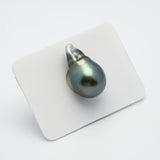 1pcs Green 13.6mm - SB/BQ AAA Quality Tahitian Pearl Single LP1840 TH2