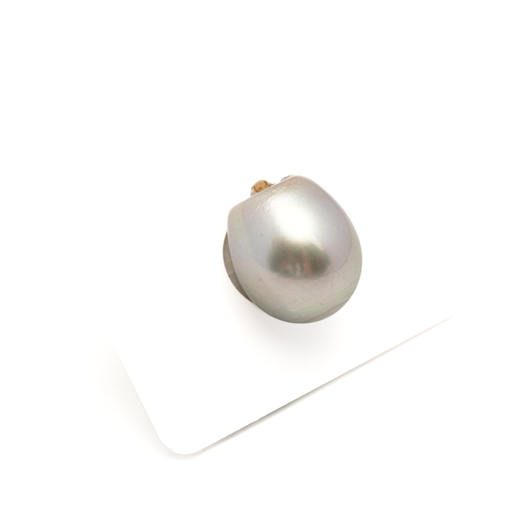 1pcs "High Luster" Light 15.3mm - SB AAA/AA Quality Tahitian Pearl Single LP2515 CMP11