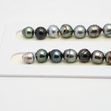 43pcs Multicolor 8-11mm - CL AAA/AA Quality Tahitian Pearl Necklace NL1522 THMIX2