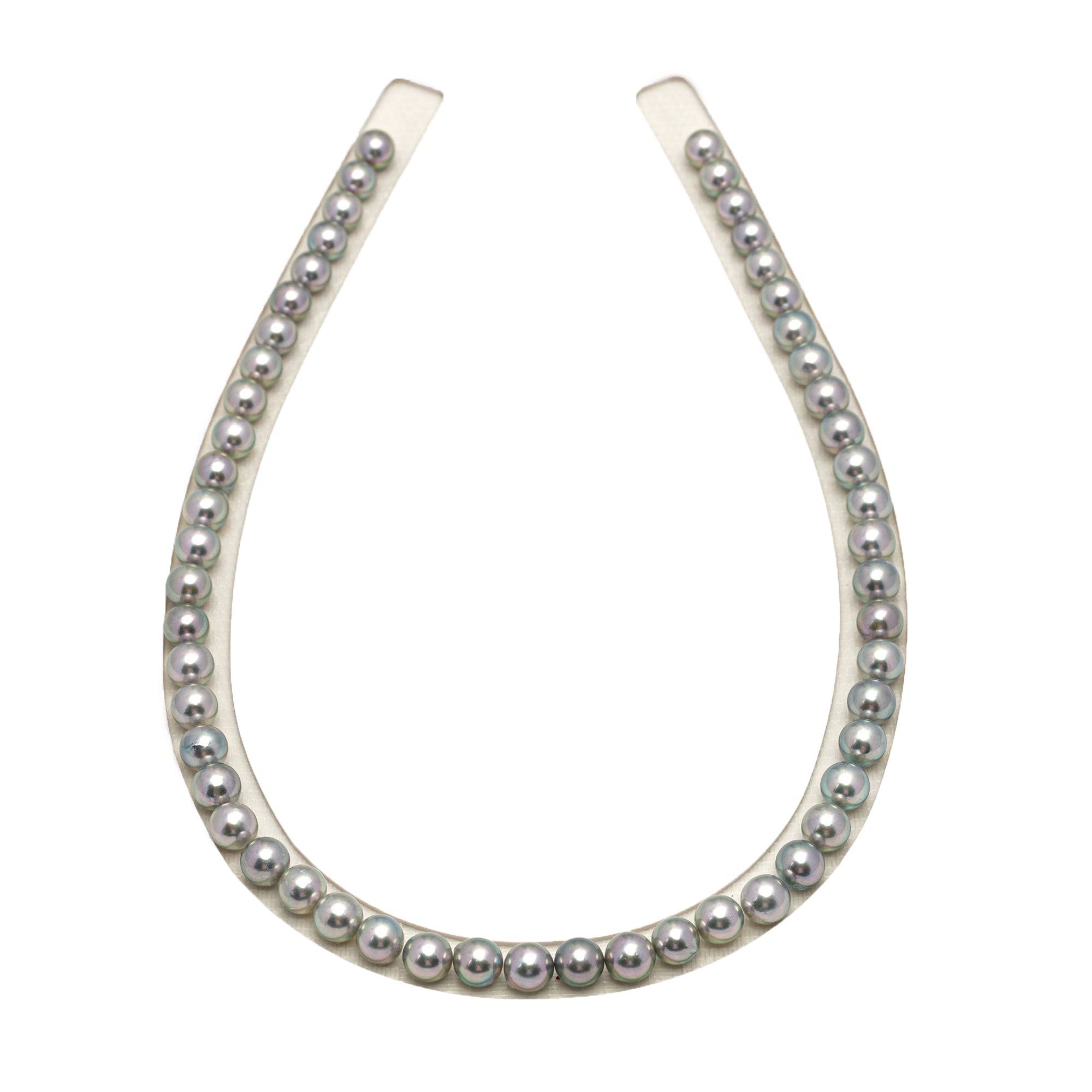 53pcs Akoya Pearl "Top Luster" Silver Green 7-7.9mm - SR/NR AAA/AA Quality Necklace AKNL1745 CMA1