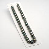 35pcs Green Mix 11-13mm - SB AAA/AA Quality Tahitian Pearl Necklace NL1497 THMIX2