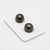 2pcs Dark 11.2mm - R TOP Quality Tahitian Pearl Pair ER1452