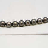 49pcs Brown 8-10mm - SR/NR AA/A Quality Tahitian Pearl Drilled Necklace NL1586 CMP4