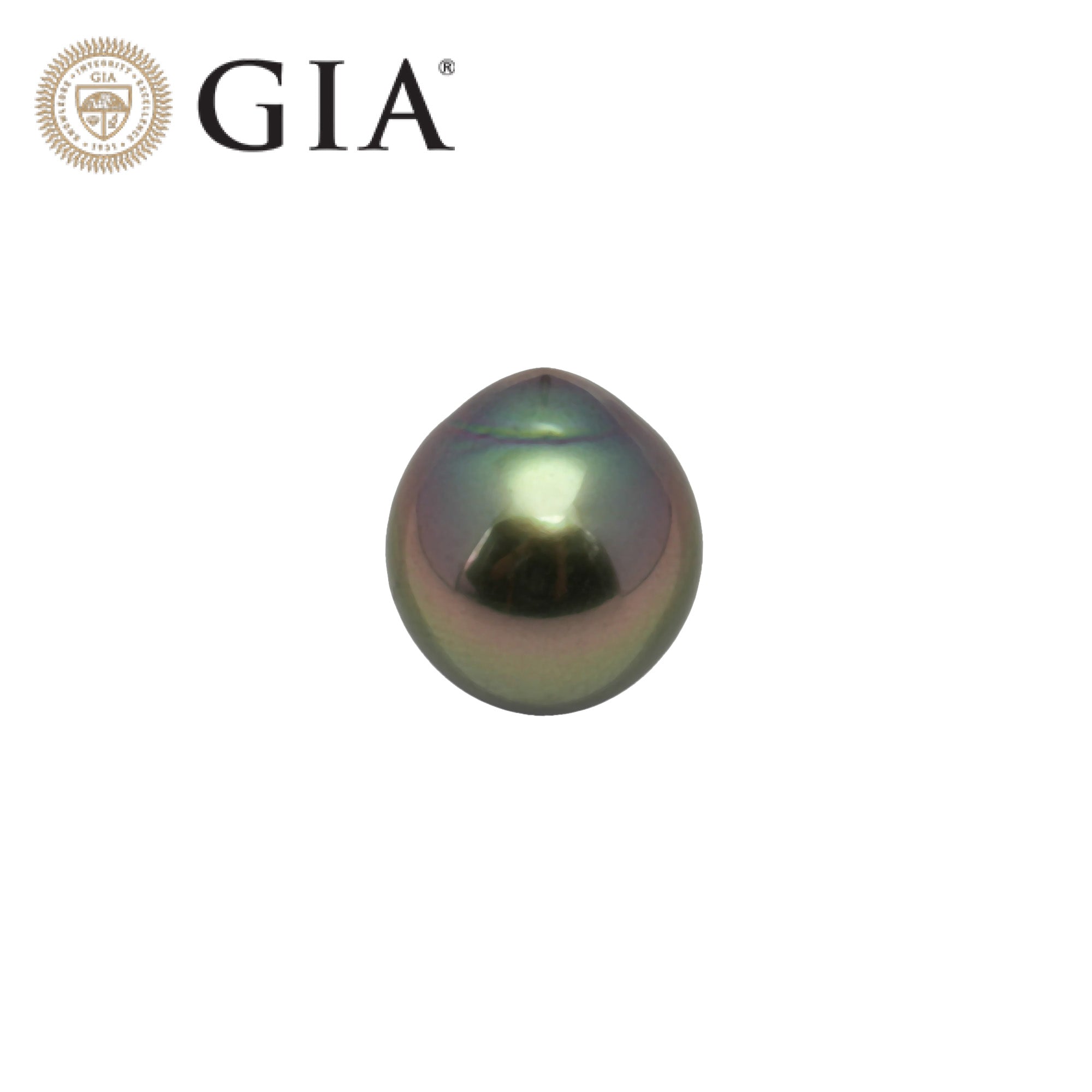 1pcs "Top Luster" Green 14.7mm - DROP TOP Quality Tahitian Pearl Single LP1764
