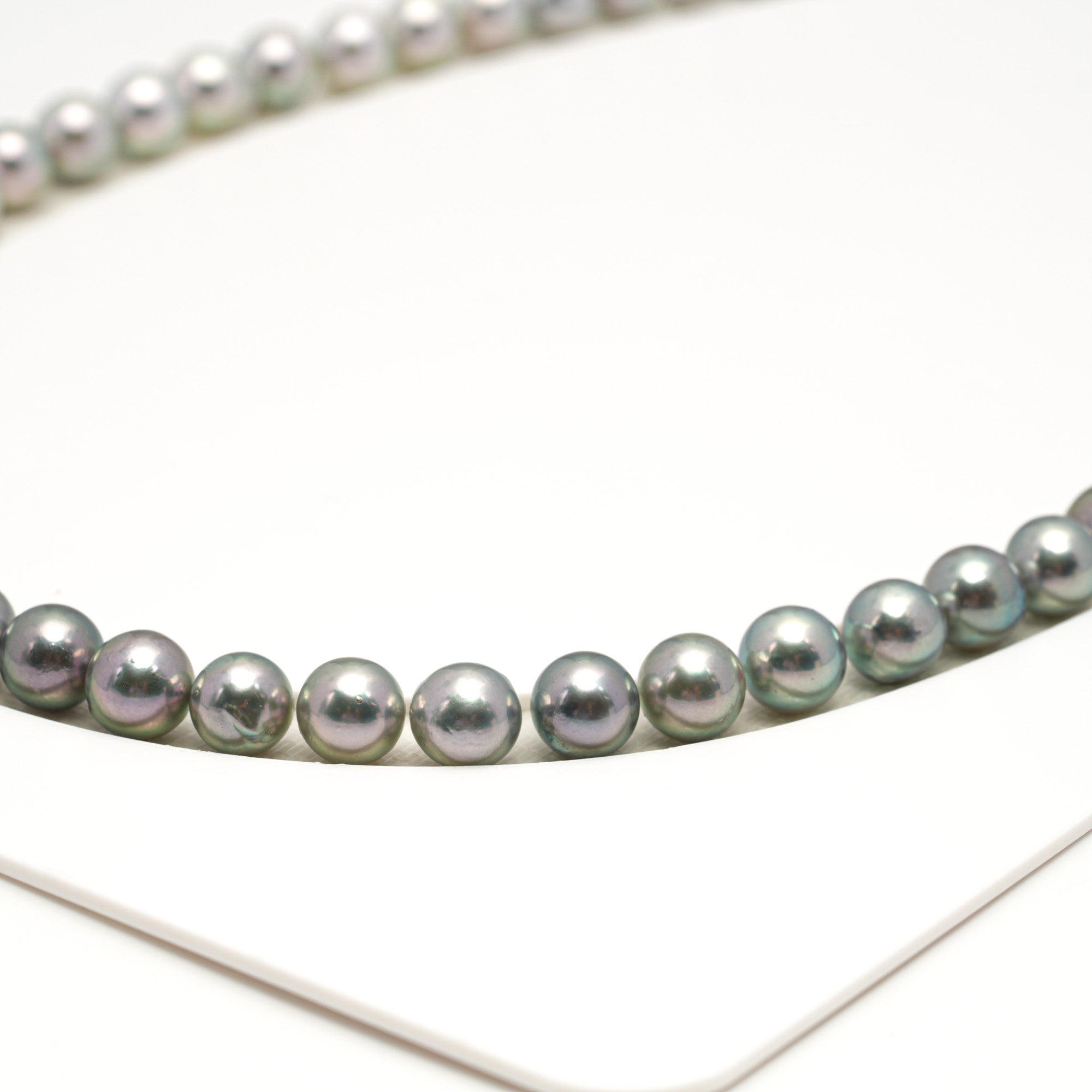 53pcs Akoya Pearl "Top Luster" Silver Green 7-7.9mm - SR/NR AAA/AA Quality Necklace AKNL1745 CMA1