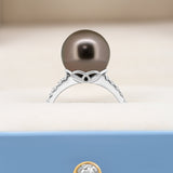 18K White Gold Tahitian Pearl Wedding Ring with Diamonds. ref:18k513