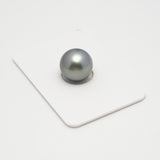 1pcs Gray 12.6mm - SR AAA/AA Quality Tahitian Pearl Single LP2128 A101