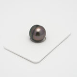 1pcs "High Luster" Green 12.9mm - CL AAA/AA Quality Tahitian Pearl Single LP1862