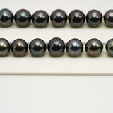 41pcs "High Luster" Dark Purple 8-11mm - SR/NR AAA Quality Tahitian Pearl Necklace NL1537 OR6