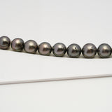 49pcs Brown 8-10mm - SR/NR AA/A Quality Tahitian Pearl Drilled Necklace NL1586 CMP4