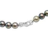 Luxurious Multicolor Tahitian Pearl Necklace, 9-10mm Pearls, 925 Silver. ref:SHM1007 CMCS1