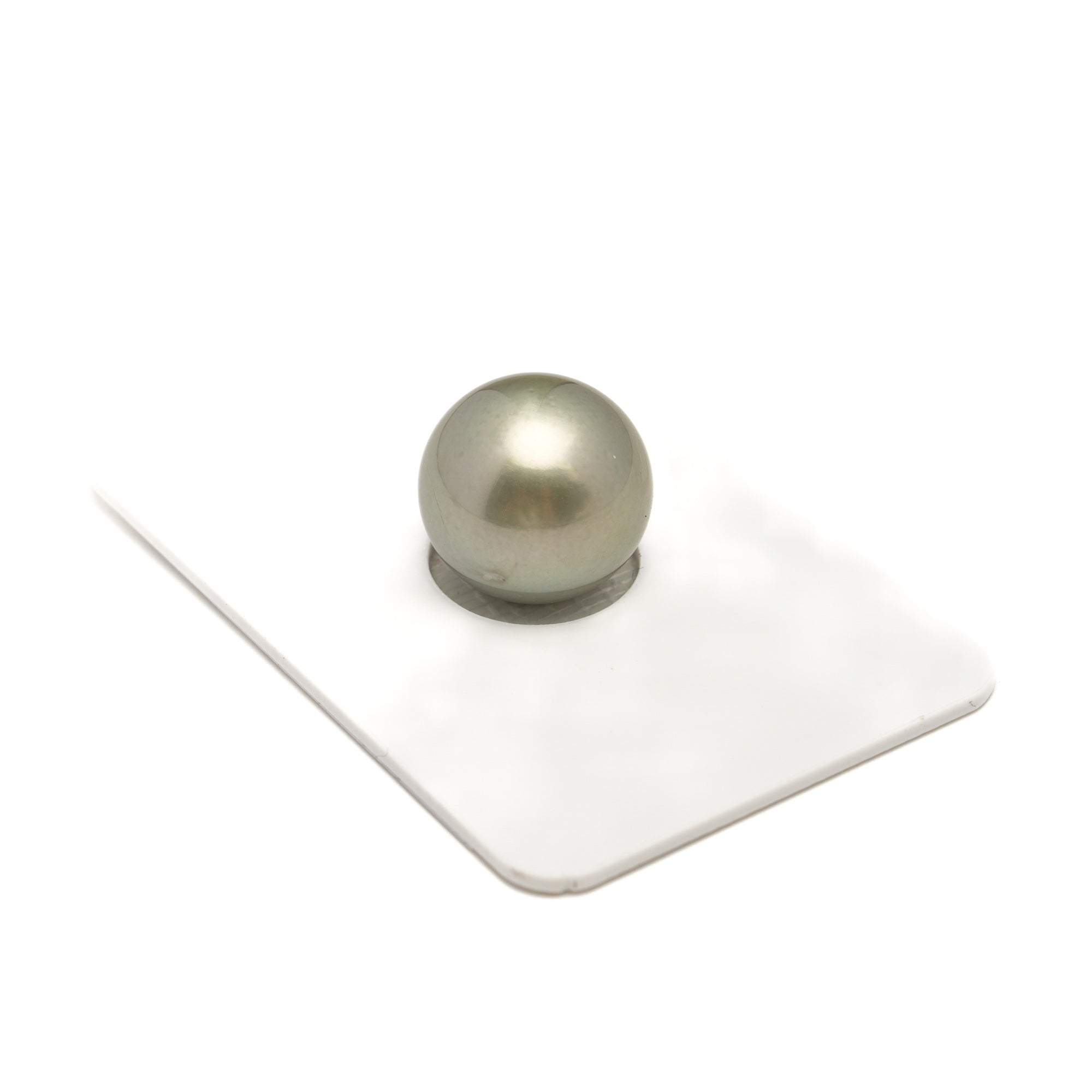 1pcs "High Luster" Light Green 13.5mm - SR/NR AAA/AA Quality Tahitian Pearl Single LP2503 CMP11
