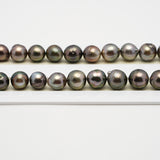 42pcs Brown 8-10mm - CL/SB AA/AAA Quality Tahitian Pearl Necklace NL1521 THMIX2