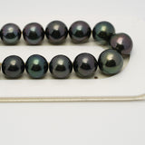 41pcs "High Luster" Dark Purple 8-11mm - SR/NR AAA Quality Tahitian Pearl Necklace NL1537 OR6