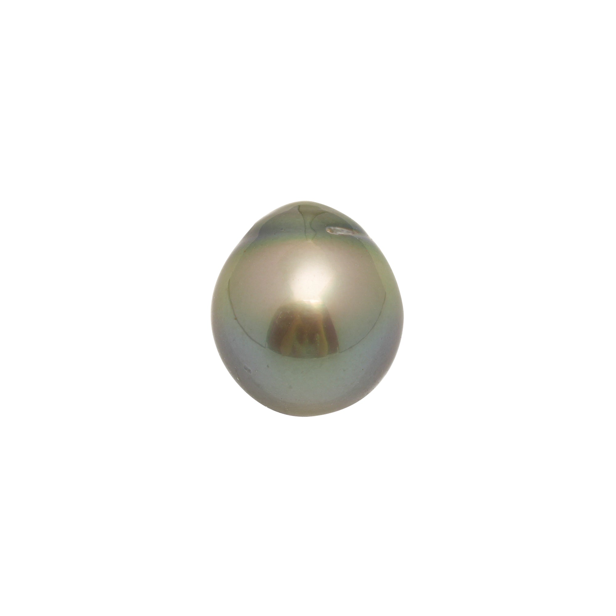 1pcs Yellow 13.6mm - SB AAA Quality Tahitian Pearl Single LP2350 CMP10