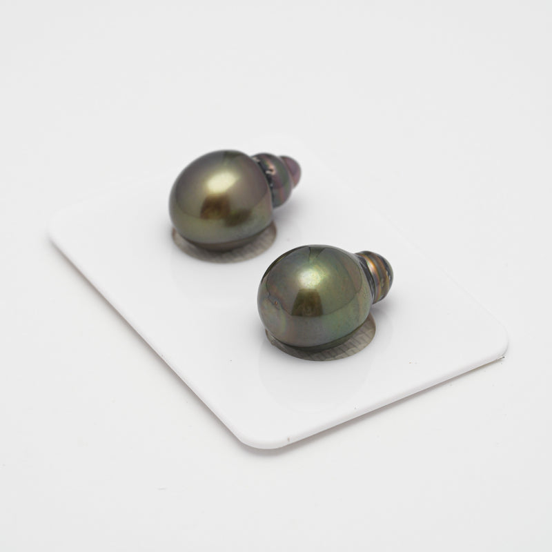 2pcs Brown 11.6-11.9mm - SB AAA Quality Tahitian Pearl Pair ER868