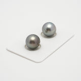 2pcs Gray 11.5mm - SR/NR AAA/AA Quality Tahitian Pearl Pair ER1527 THMIX2.6