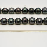 41pcs "High Luster" Dark Purple 8-11mm - SR/NR AAA Quality Tahitian Pearl Necklace NL1537 OR6